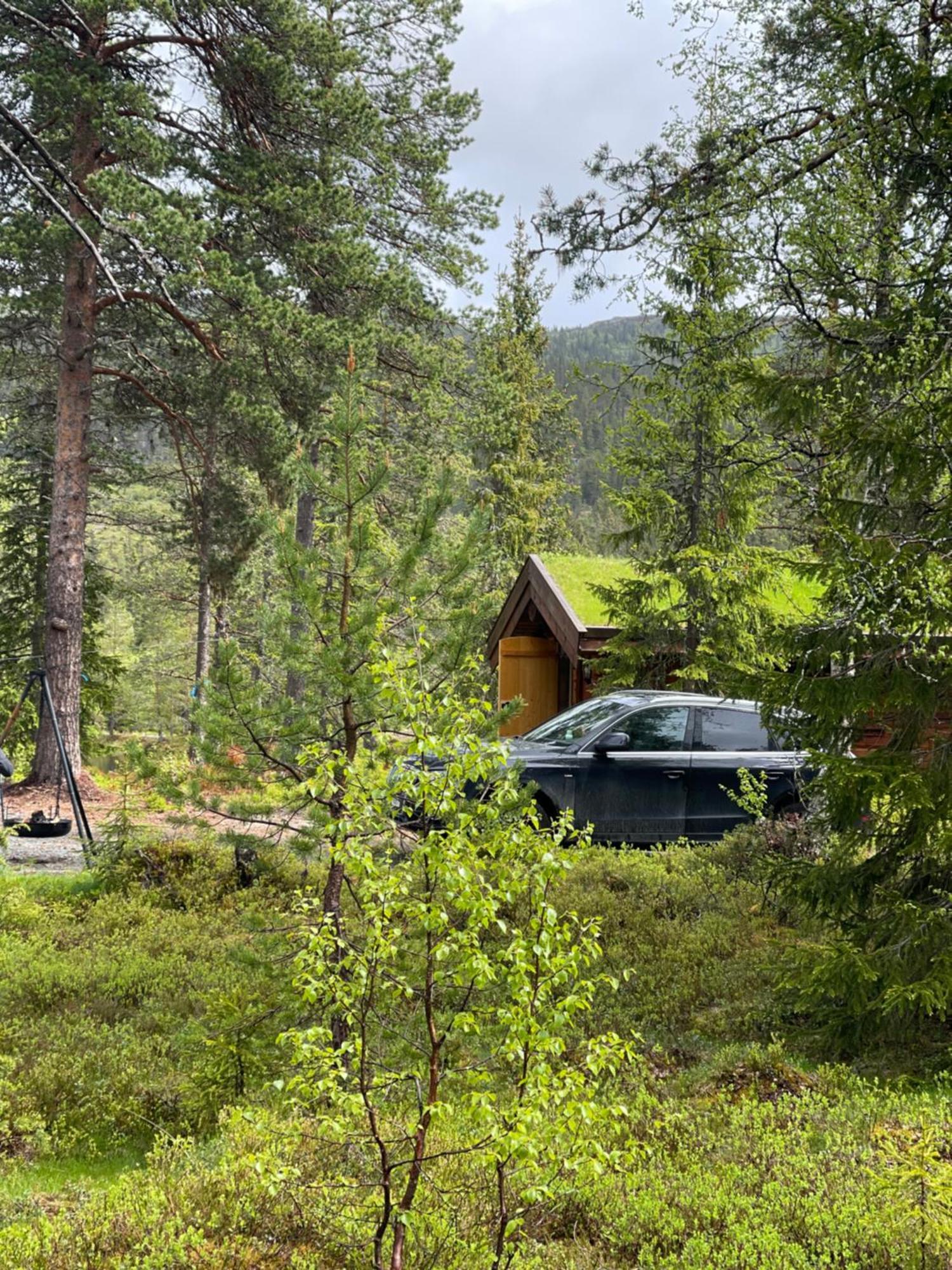 Hytta Pa Oyfjell Villa Buitenkant foto