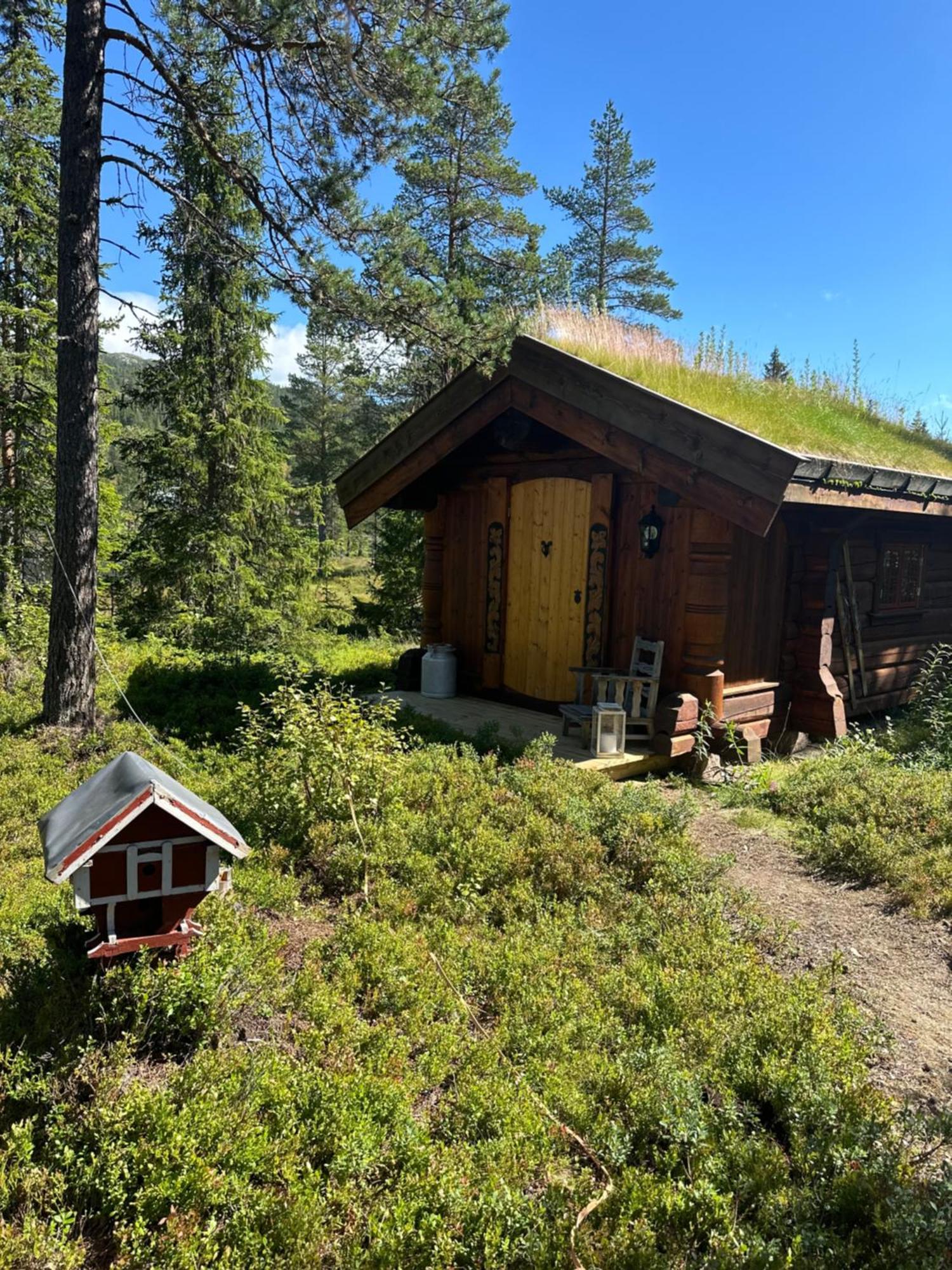 Hytta Pa Oyfjell Villa Buitenkant foto