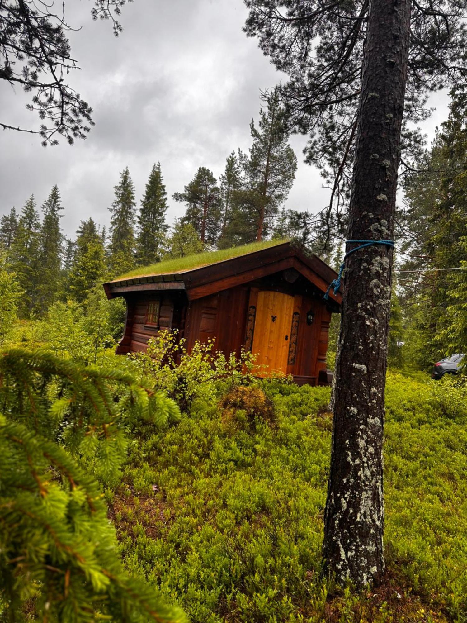 Hytta Pa Oyfjell Villa Buitenkant foto