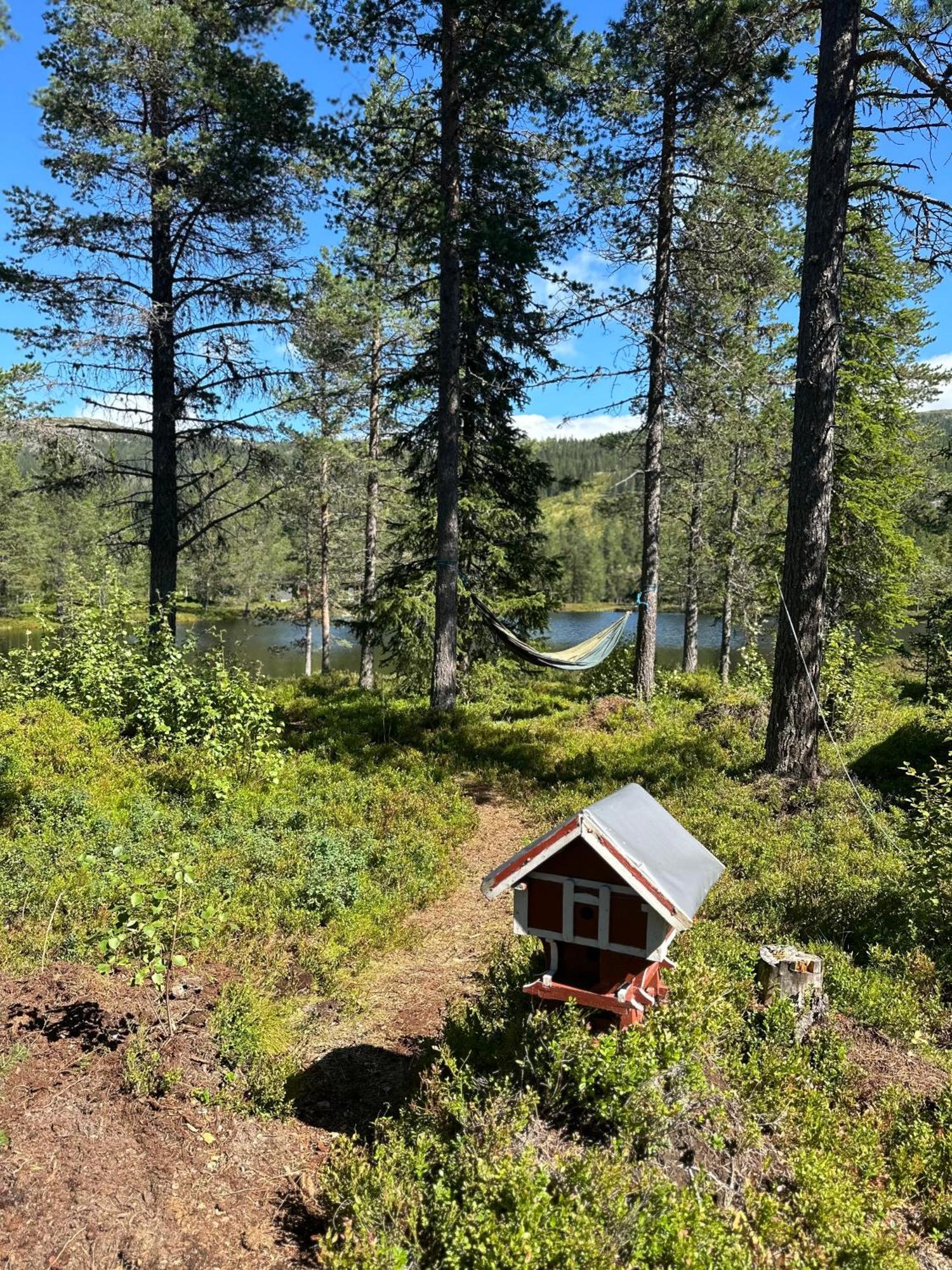 Hytta Pa Oyfjell Villa Buitenkant foto