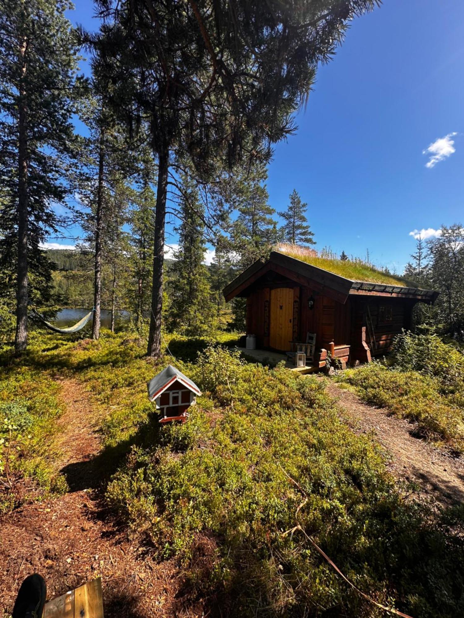 Hytta Pa Oyfjell Villa Buitenkant foto