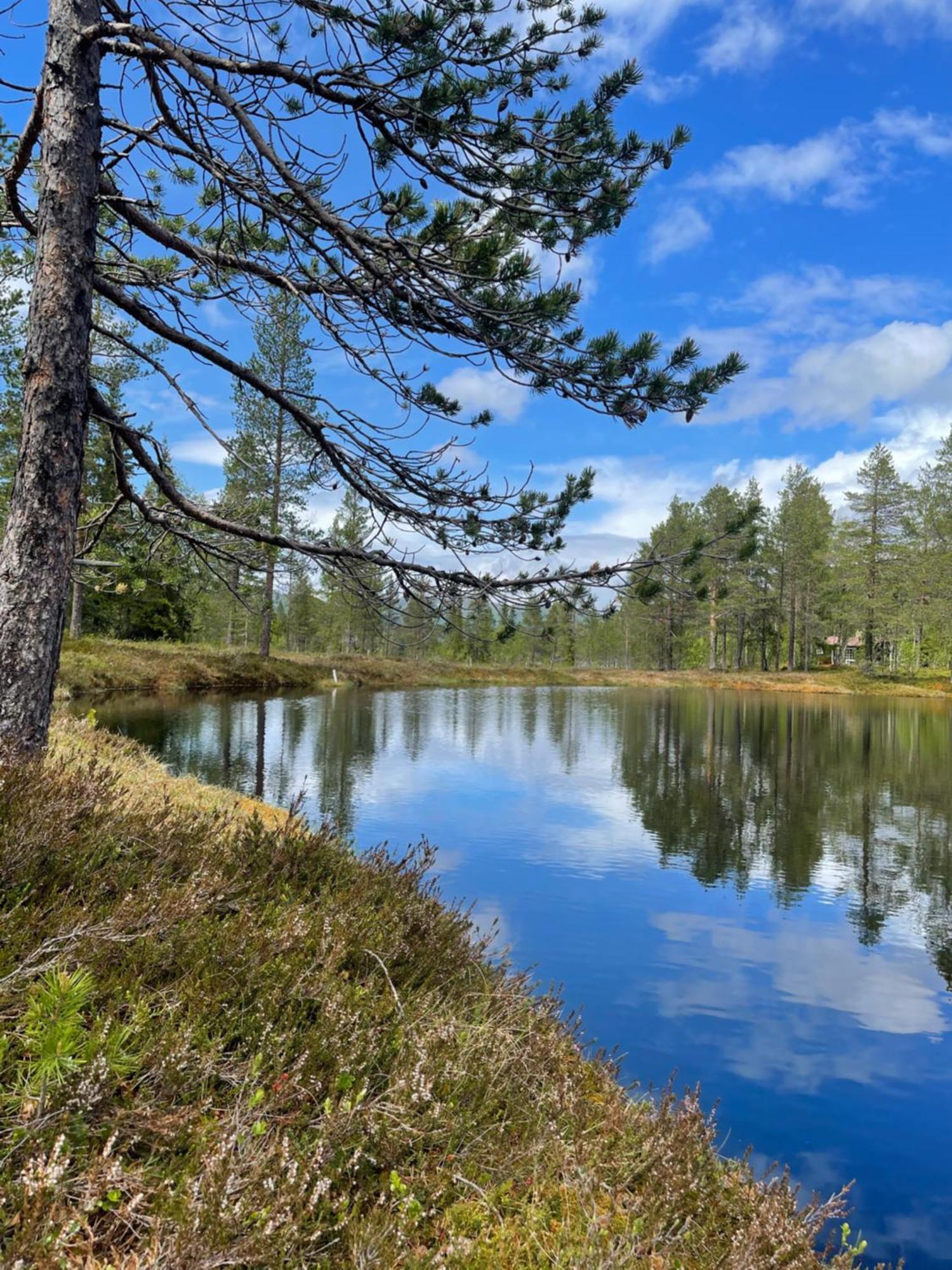 Hytta Pa Oyfjell Villa Buitenkant foto