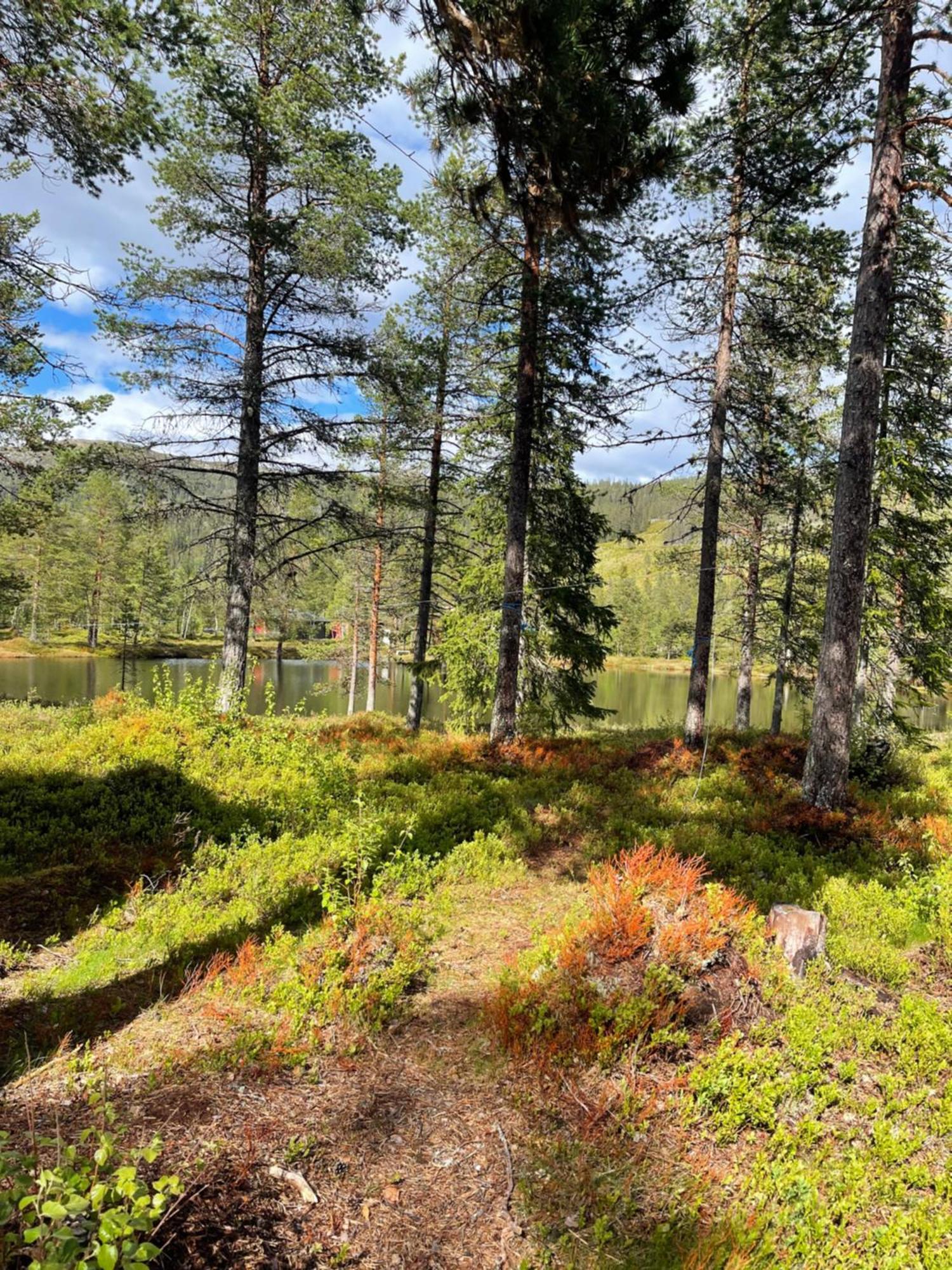 Hytta Pa Oyfjell Villa Buitenkant foto