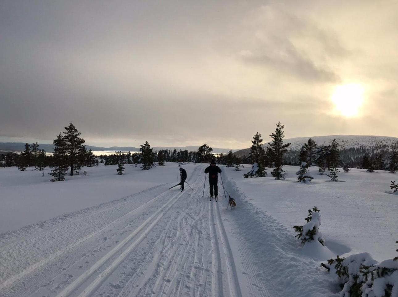 Hytta Pa Oyfjell Villa Buitenkant foto