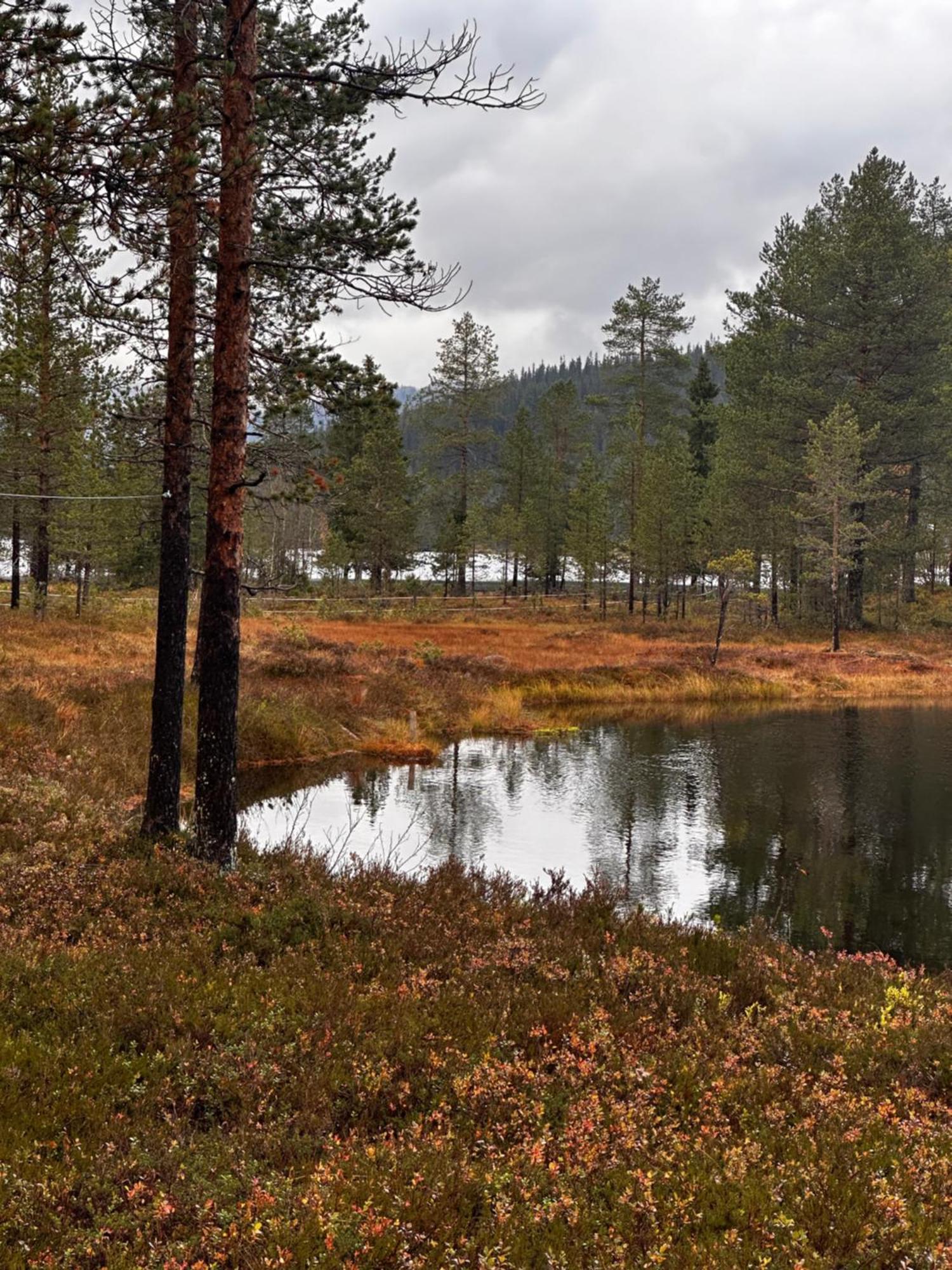 Hytta Pa Oyfjell Villa Buitenkant foto