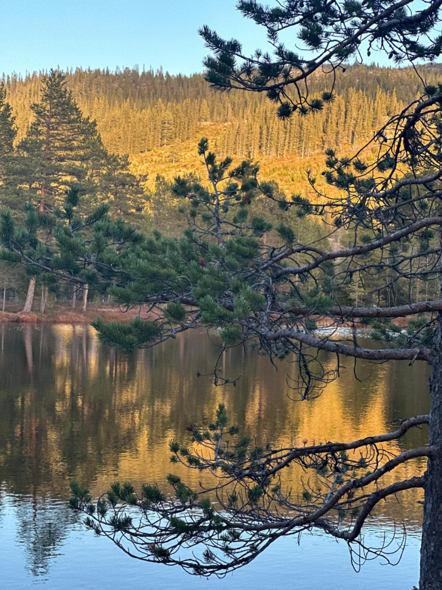Hytta Pa Oyfjell Villa Buitenkant foto