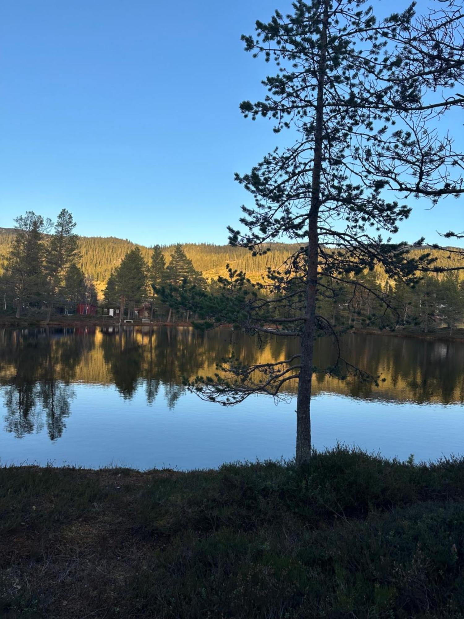 Hytta Pa Oyfjell Villa Buitenkant foto